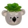 Ootb Sukkulente im Topf, Faultier oder Koala