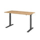 Bach Sitz-Steh-Arbeitsplatz Hammerer XMKA16 160 x 80 cm