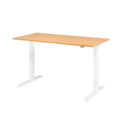 Bach Sitz-Steh-Arbeitsplatz Hammerer XMKA16 160 x 80 cm