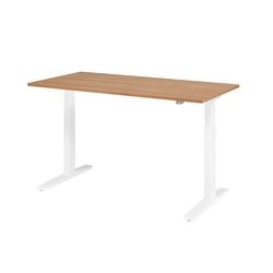 Bach Sitz-Steh-Arbeitsplatz Hammerer XMKA16 160 x 80 cm