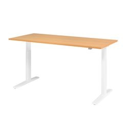 Bach Sitz-Steh-Arbeitsplatz Hammerer XMKA19 180 x 80 cm