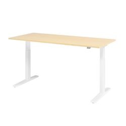 Bach Sitz-Steh-Arbeitsplatz Hammerer XMKA19 180 x 80 cm