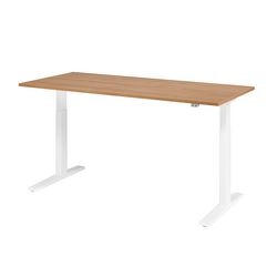Bach Sitz-Steh-Arbeitsplatz Hammerer XMKA19 180 x 80 cm