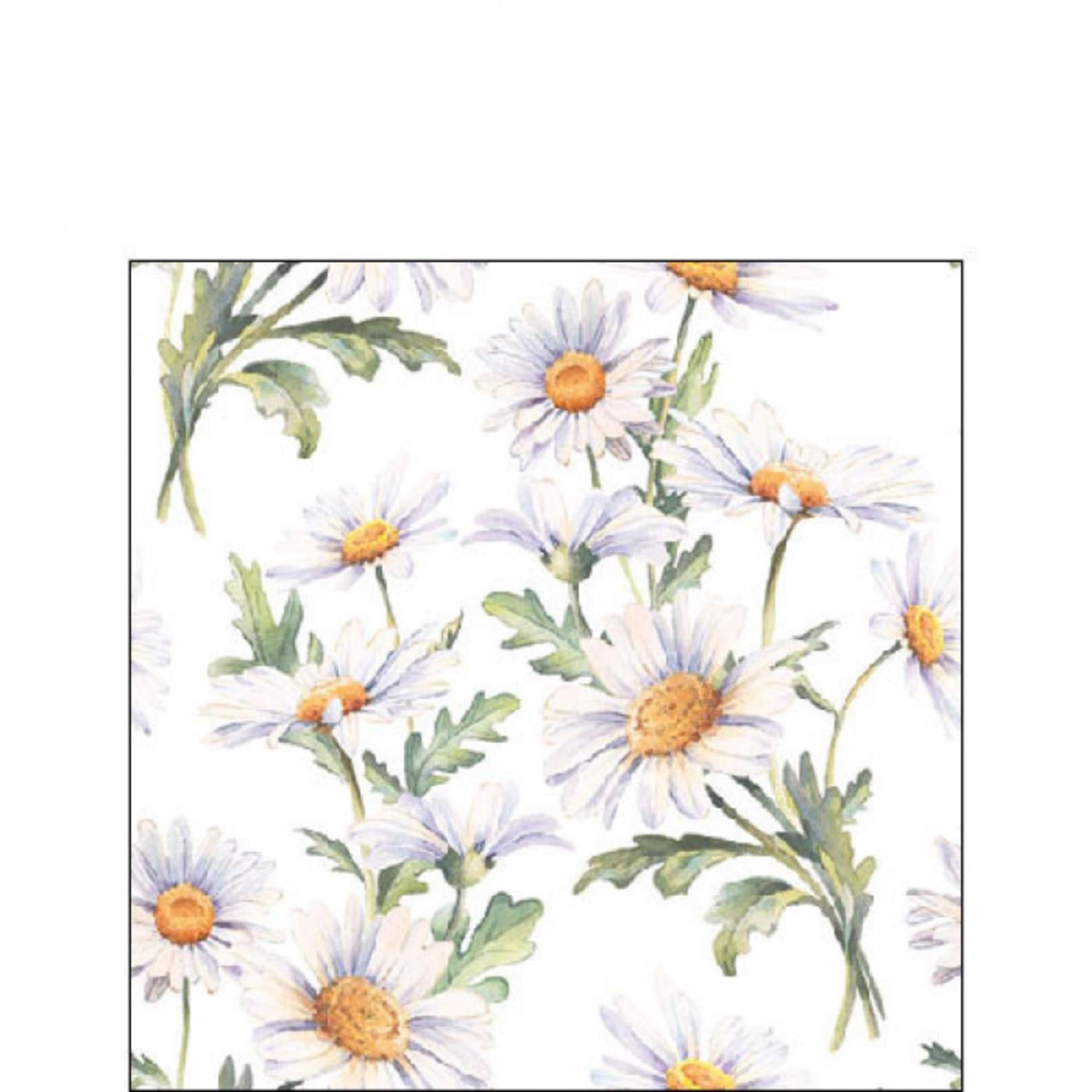 Ambiente Serviette schöne Gänseblümchen 25cm