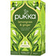 Tee-Pukka-Catering Zitronengras, Ingwer
