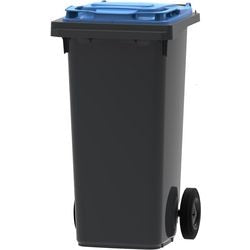 Abfallbehälter 428880 cl vl unbrand 120l