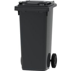 Abfallbehälter 176765 ohne Marke 2wh 120l