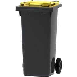 Abfallbehälter 428872 cl vl unbrand 120l
