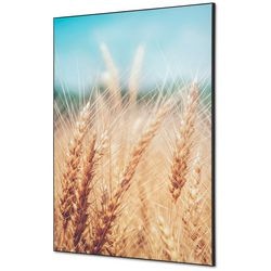 Textile Wanddekoration Showdown tfr22wa1-set-i814 400 x 400 Kornfeld