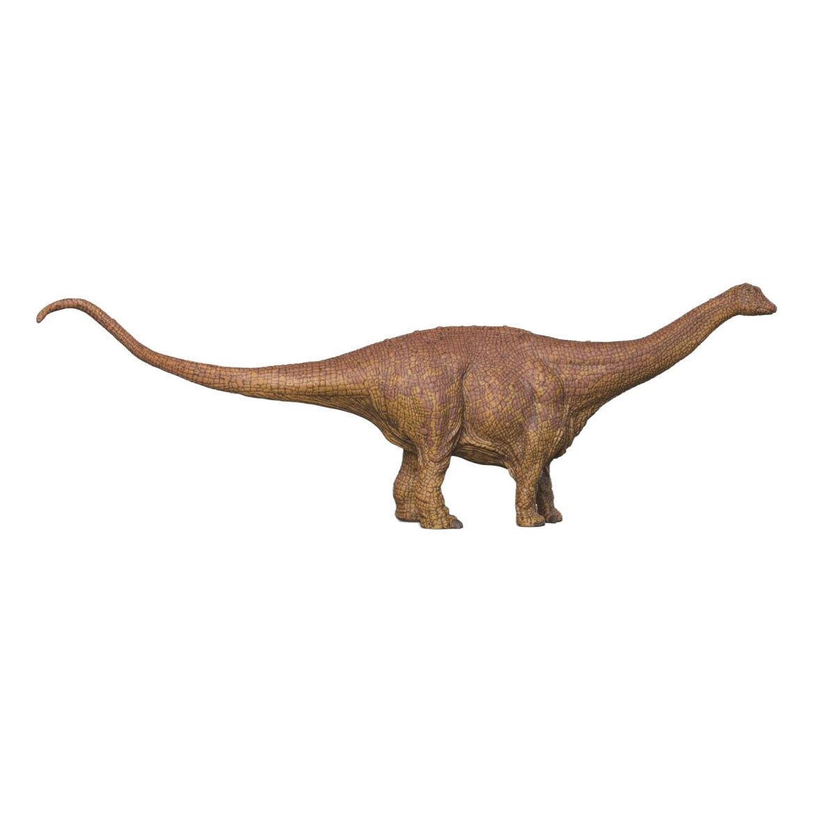 Schleich Dinosaurier-Spielzeug Brontosaurus – realistische Dino-Figur.
