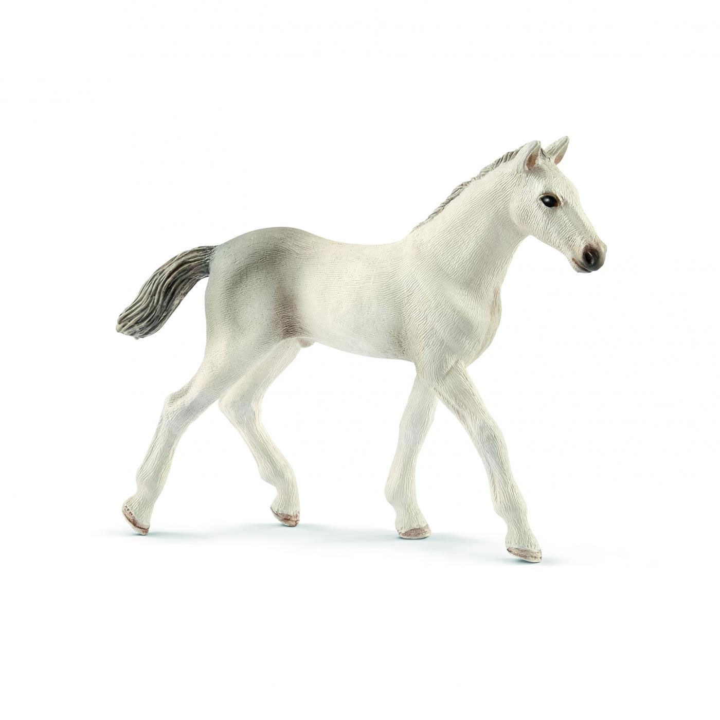 Schlich Horse Club Holstein Veulen 13860