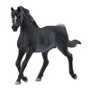 Schleiich Horse Club Arabisch Engst 13981
