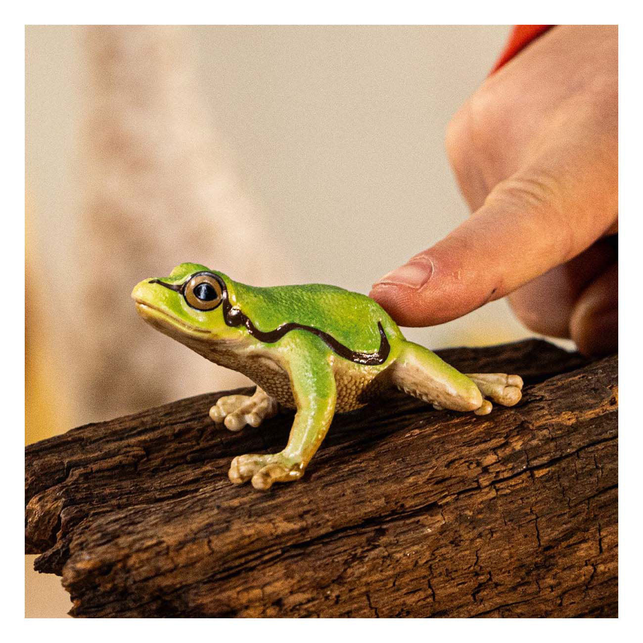 Schlich Wild Life European Tree Frosch 14882