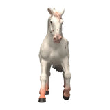 Schleich Horse Club Knabstupper Stute 14917 - afbeelding 2