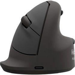 Ergonomische Maus Fellowes Breyta schwarz 110 mm x 93 mm x 79 mm
