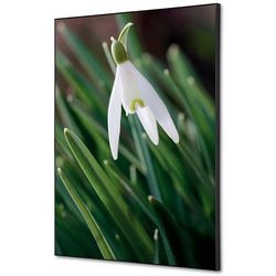Textile Wanddekoration Showdown tfr22wa2-set-i24 400 x 400 weiße Blume