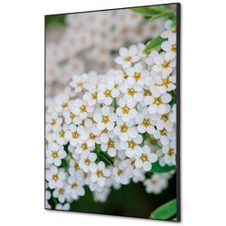 Textile Wanddekoration Showdown tfr22wa2-set-i3 400 x 400 weiße Blume