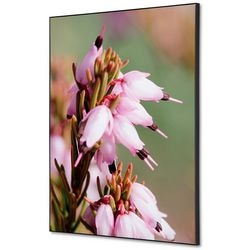Textile Wanddekoration Showdown tfr22wa2-set-i5 400 x 400 rosa Blume