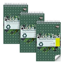 Pk3 Pukka recyceltes Steno-Pad im