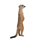 Mojo Wildlife Stock Tail 387125 - afbeelding 3