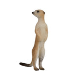 Mojo Wildlife Stock Tail 387125 - afbeelding 4