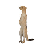 Mojo Wildlife Stock Tail 387125 - afbeelding 5