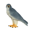Mojo Wildlife Peregrine Falcon 381056