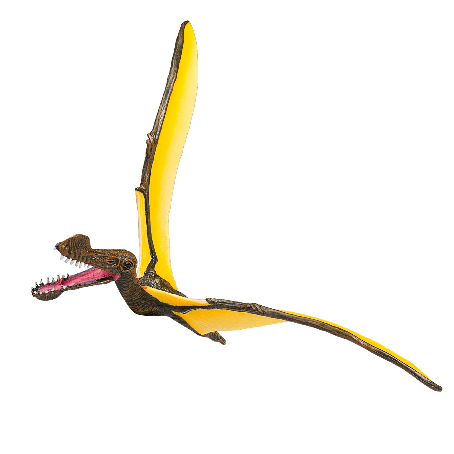 Mojo Vorgeschichte Tropoghus 387375