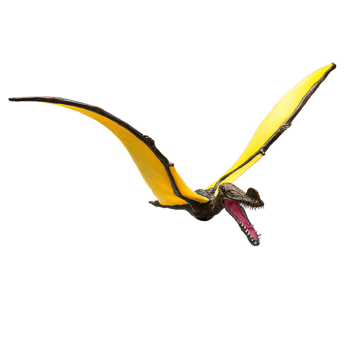 Mojo Vorgeschichte Tropoghus 387375