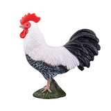 Mojo Ackerland Haan 387051 - afbeelding 1