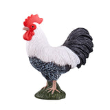 Mojo Ackerland Haan 387051 - afbeelding 2