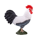 Mojo Ackerland Haan 387051 - afbeelding 4