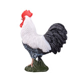 Mojo Ackerland Haan 387051 - afbeelding 5