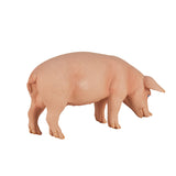 Mojo Ackerland Schweinefleisch Zwijn 387080 - afbeelding 5