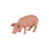 Mojo Ackerland essen 387056