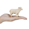 Mojo Ackerland Schaap ooi 387096