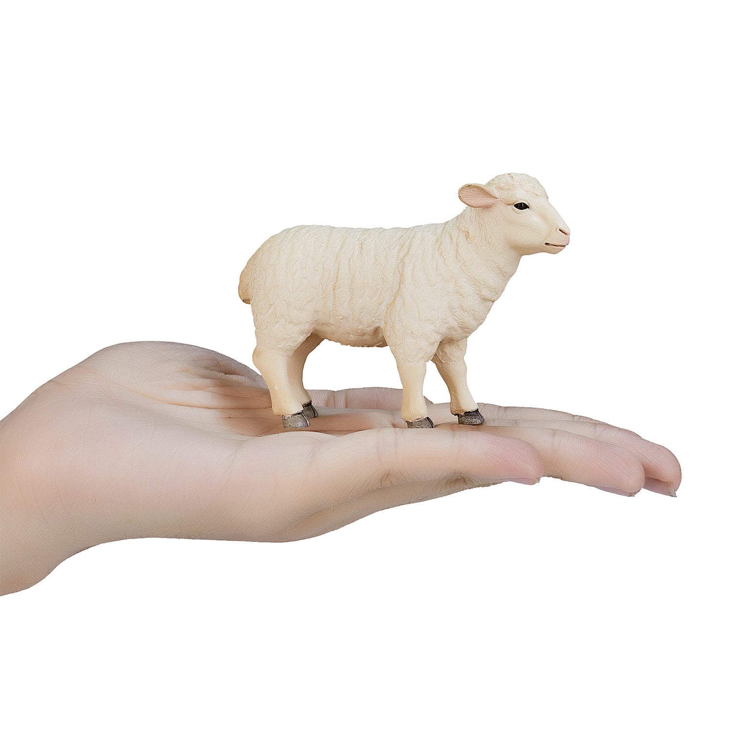 Mojo Ackerland Schaap ooi 387096