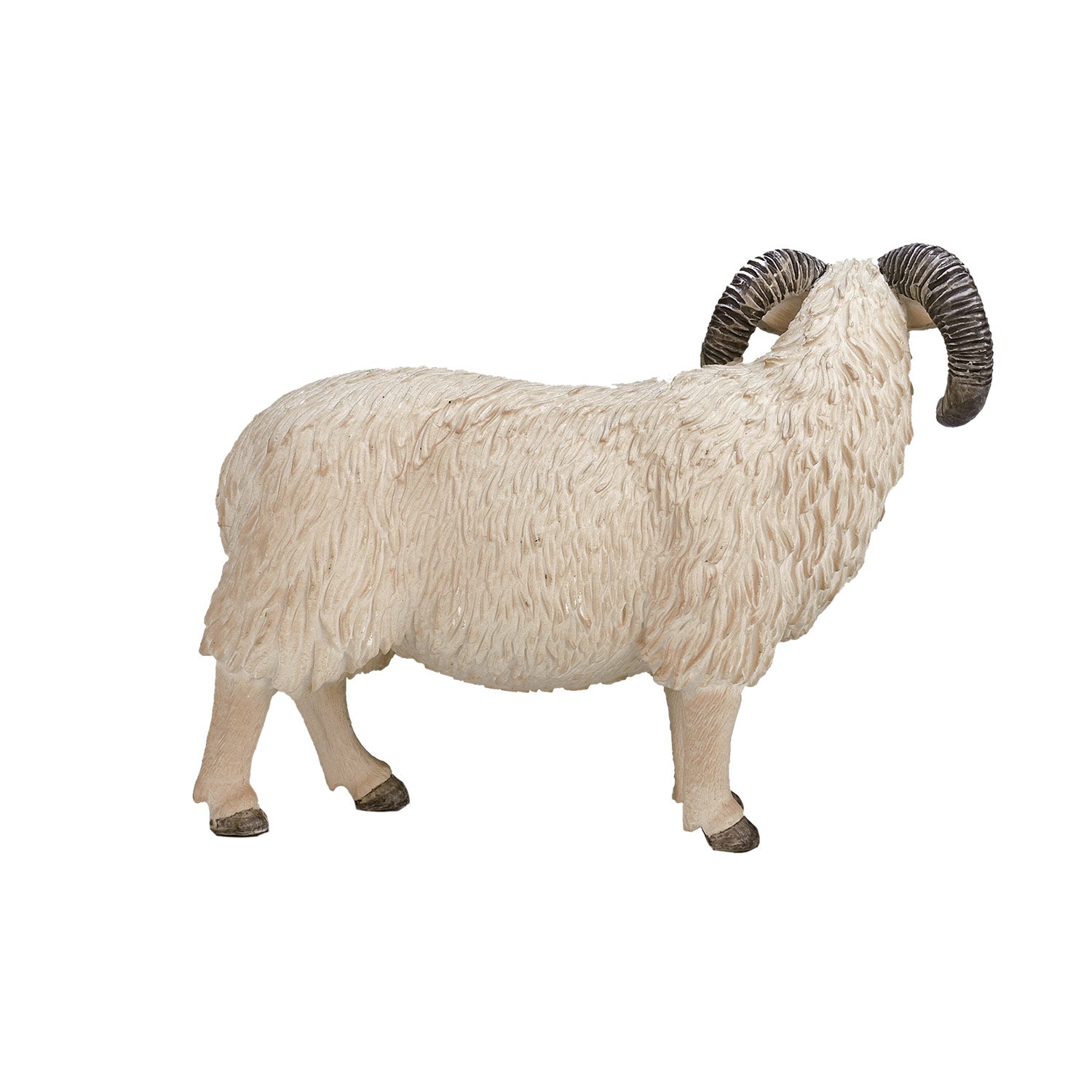 Mojo Ackerland Schaap Ram 387097