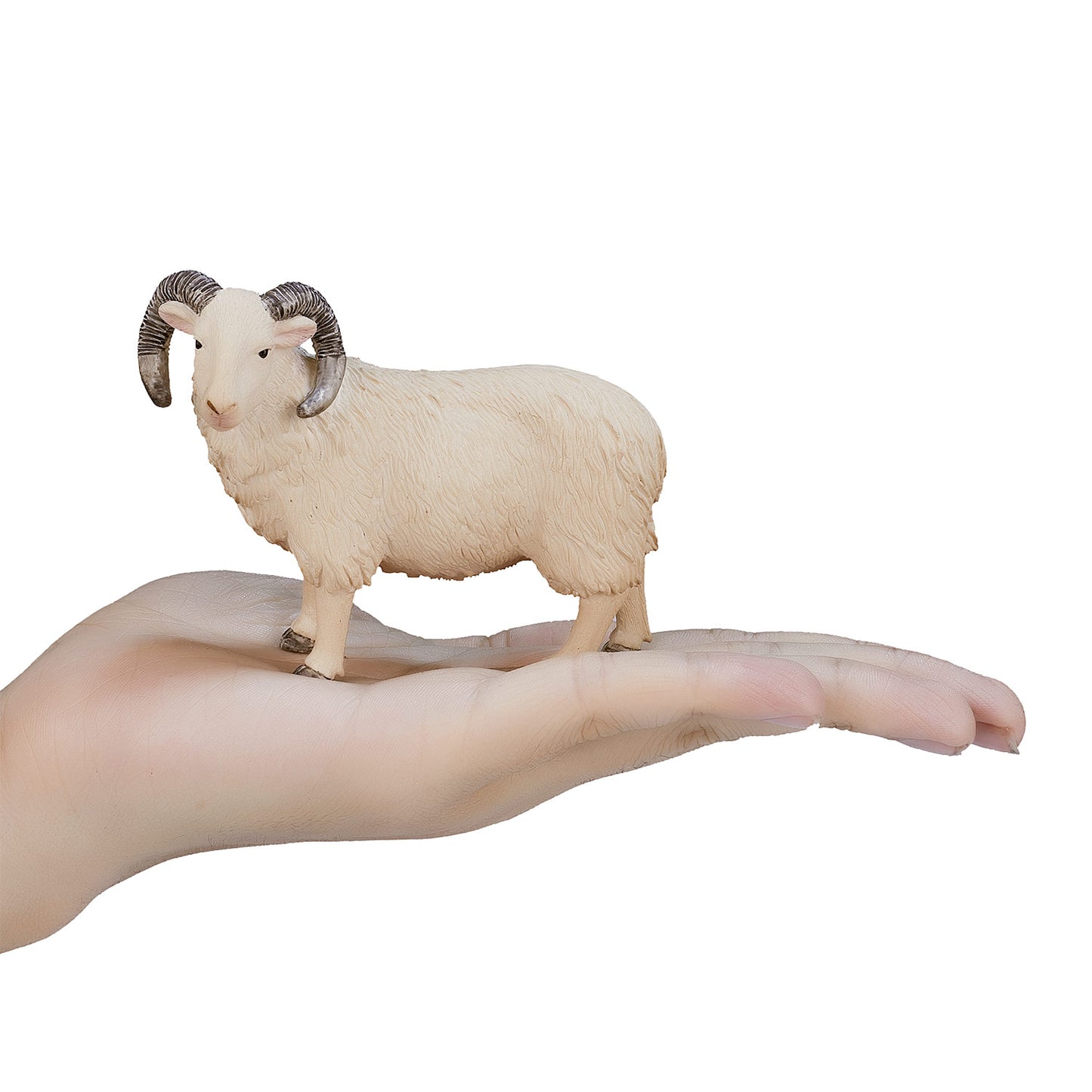 Mojo Ackerland Schaap Ram 387097