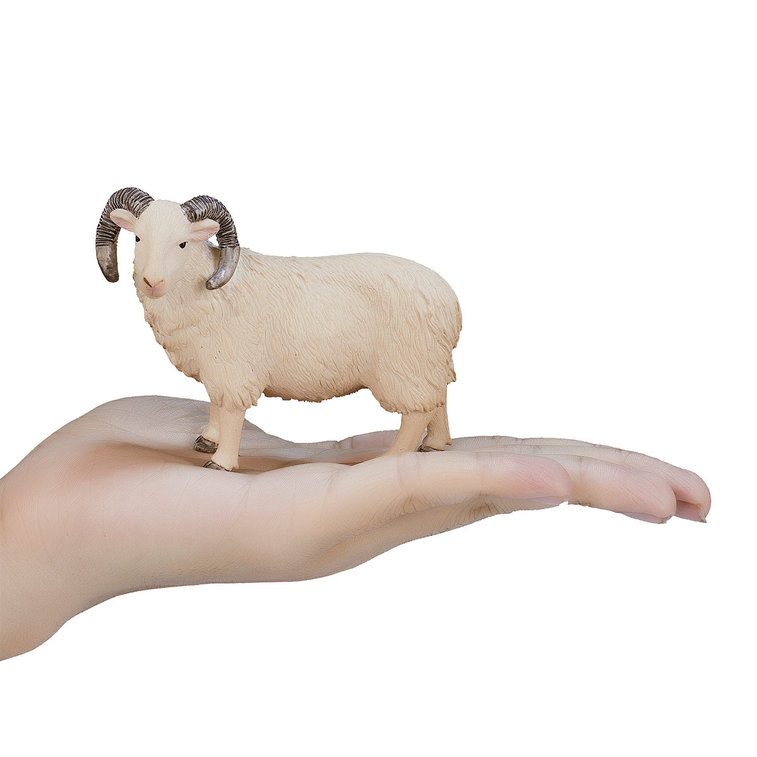 Mojo Ackerland Schaap Ram 387097