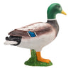Mojo Ackerland wollte Ente 387127