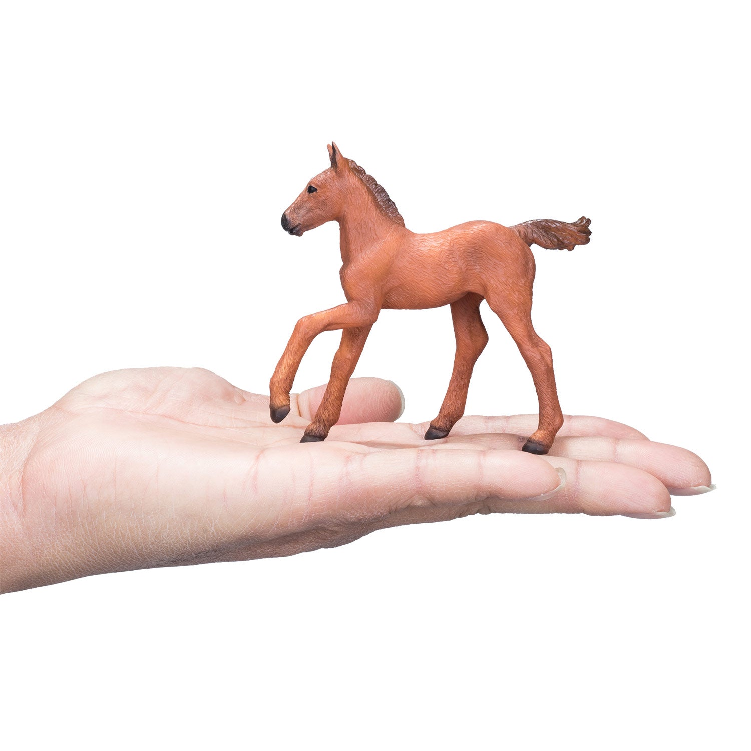 Mojo Horse World Arabic Fohlen Brown381019