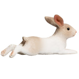 Mojo Ackerland Kaninchen lagen 387142 - afbeelding 2