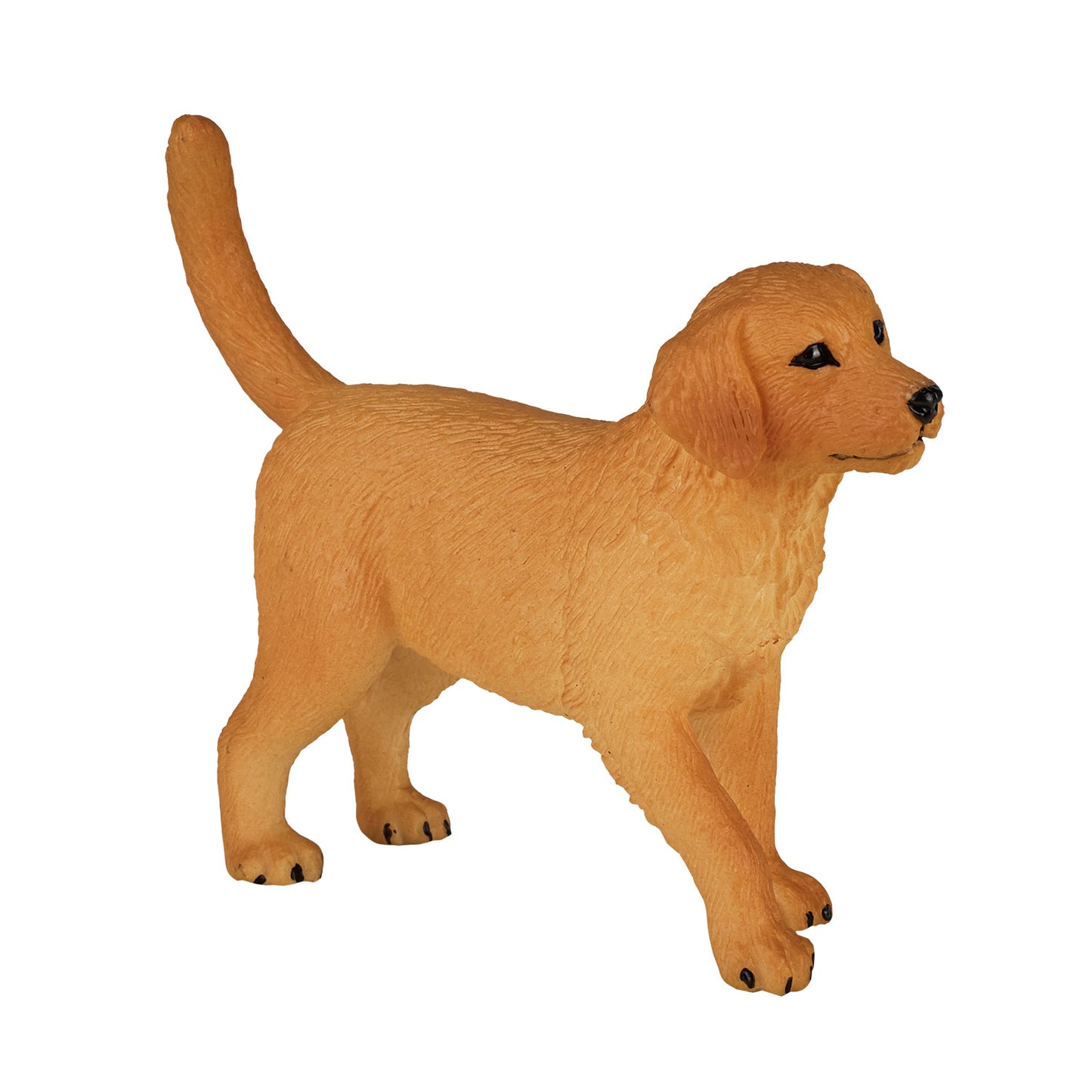Mojo Ackerland Golden Retriever Welpe 387205