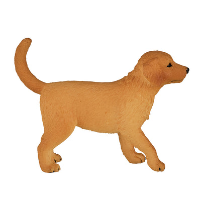 Mojo Ackerland Golden Retriever Welpe 387205