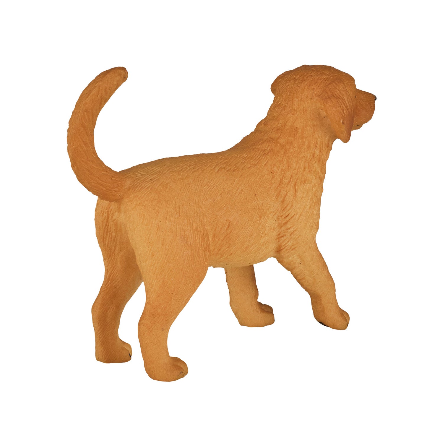 Mojo Ackerland Golden Retriever Welpe 387205