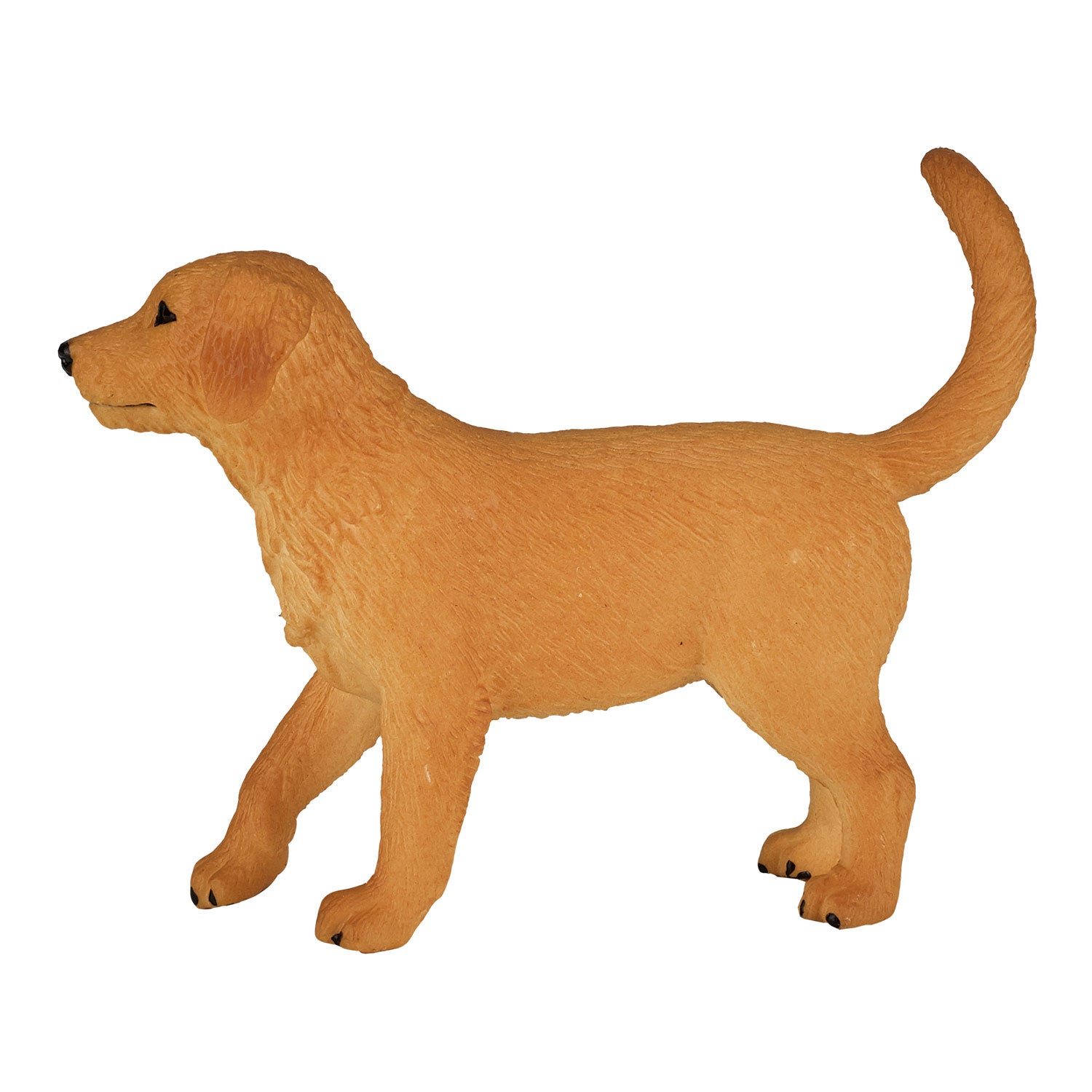 Mojo Ackerland Golden Retriever Welpe 387205