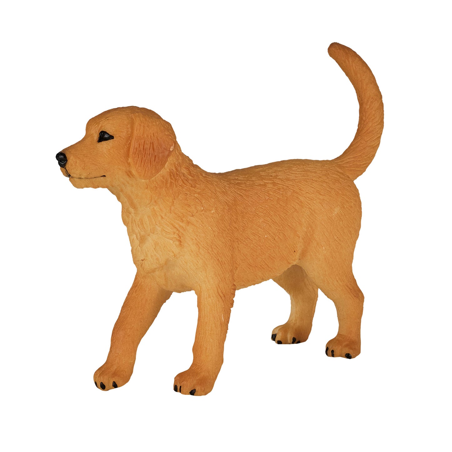 Mojo Ackerland Golden Retriever Welpe 387205
