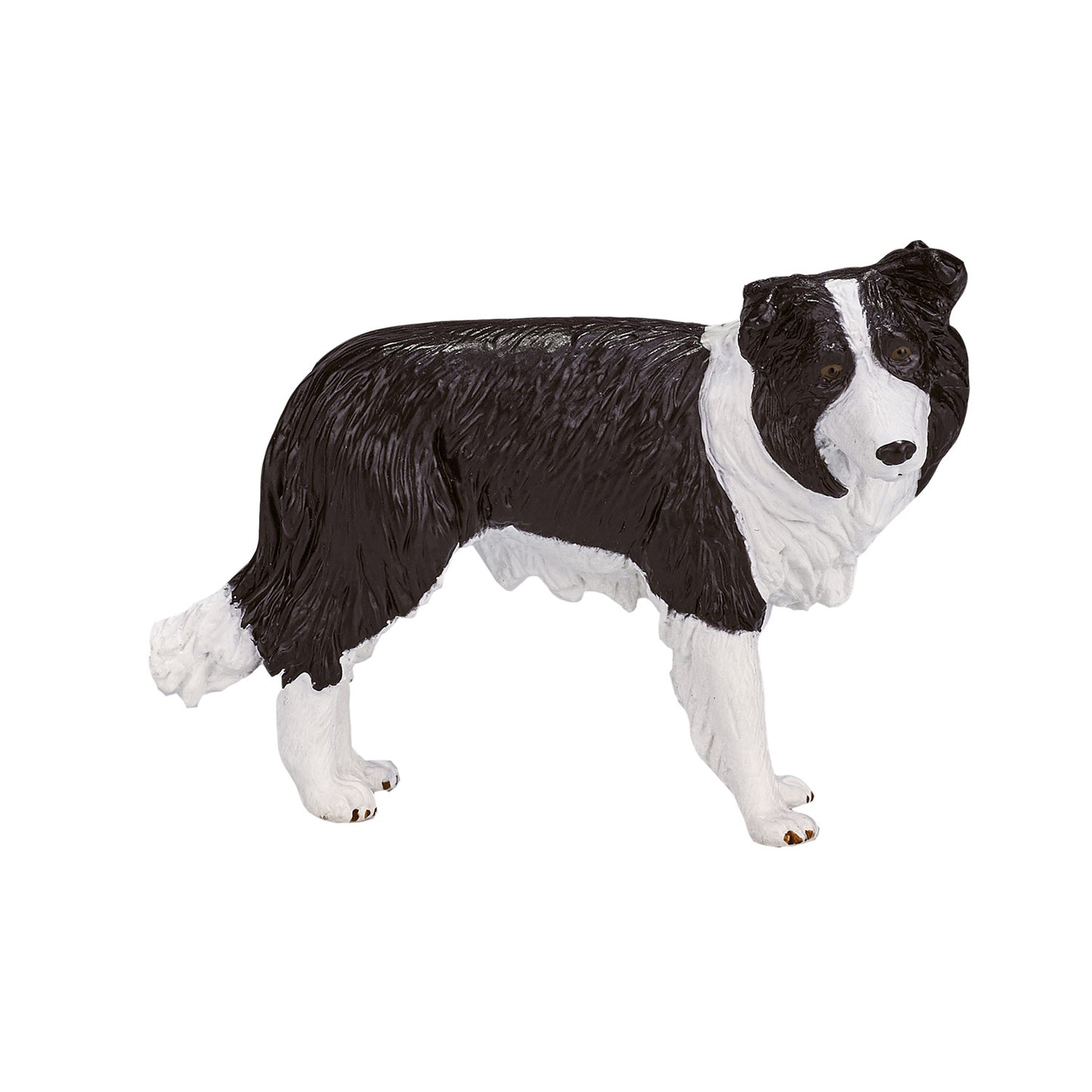 Mojo Ackerland Border Collie 387203