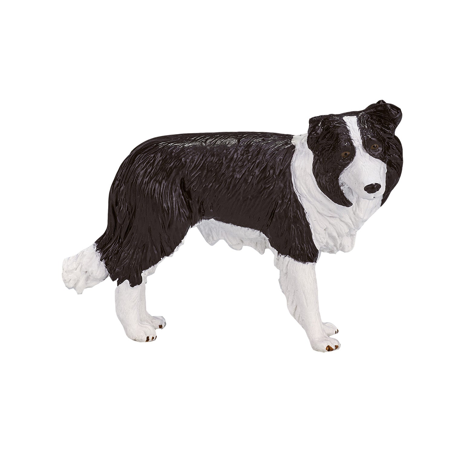 Mojo Ackerland Border Collie 387203